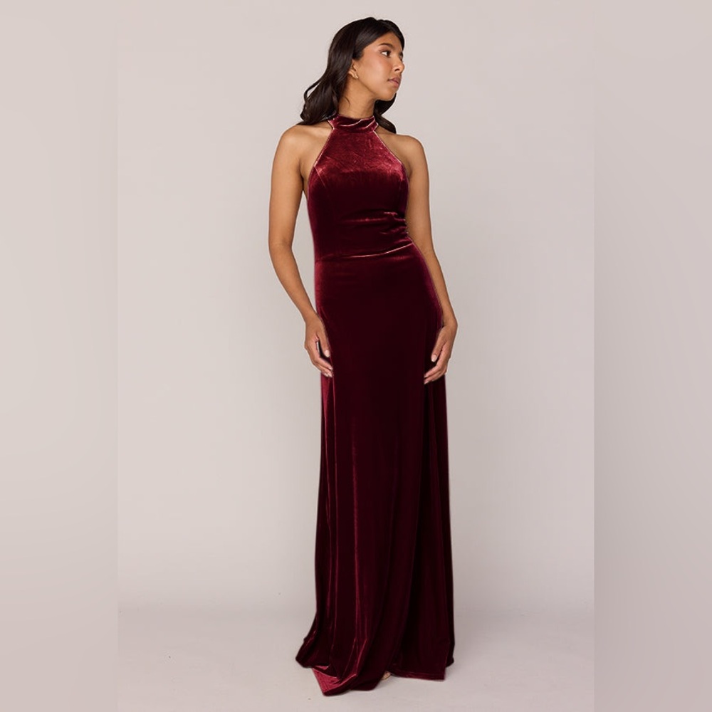 Revelry Tori Velvet Dress